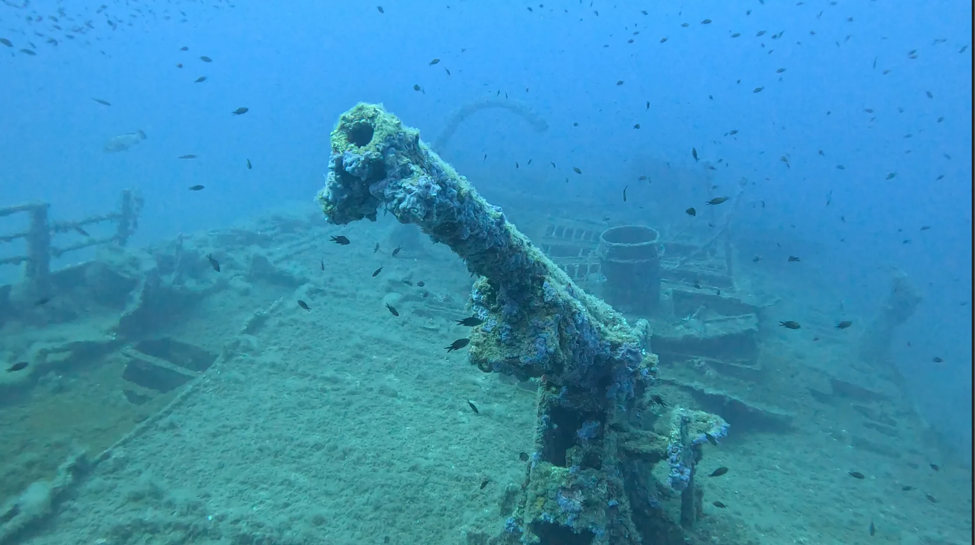 KT-12 Wreck